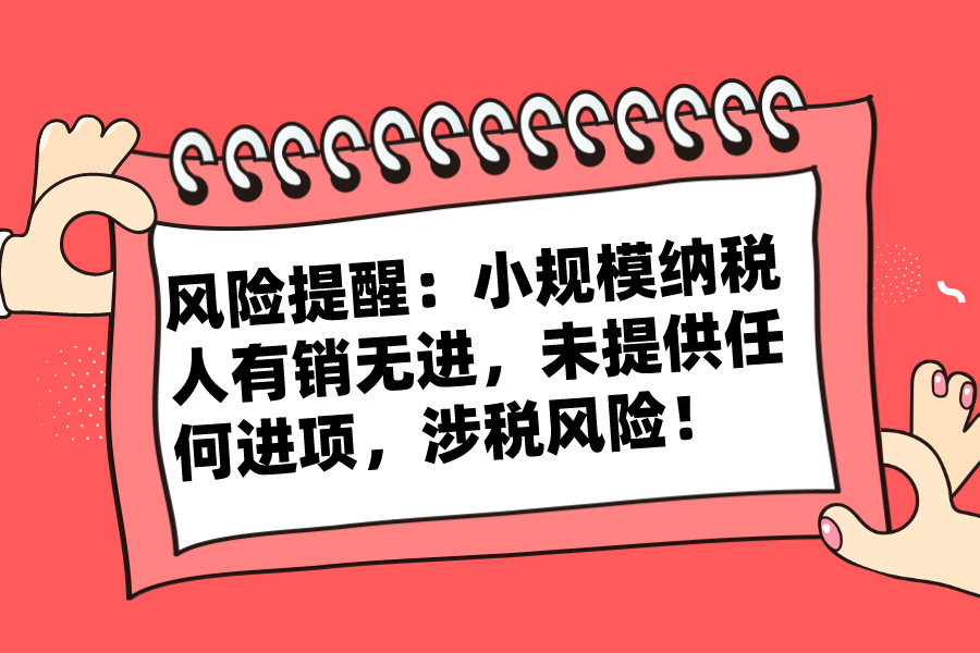 风险提醒：小规模纳税人有销无进，未提供任何进项，涉税风险！